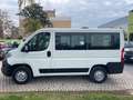 Citroen Jumper JUMPER 30 BLUEHDI 120CV IVA COMPRESA 9 POSTI Blanc - thumbnail 8