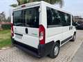 Citroen Jumper JUMPER 30 BLUEHDI 120CV IVA COMPRESA 9 POSTI Blanc - thumbnail 5