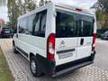 Citroen Jumper JUMPER 30 BLUEHDI 120CV IVA COMPRESA 9 POSTI Blanc - thumbnail 7