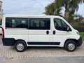 Citroen Jumper JUMPER 30 BLUEHDI 120CV IVA COMPRESA 9 POSTI Blanc - thumbnail 4