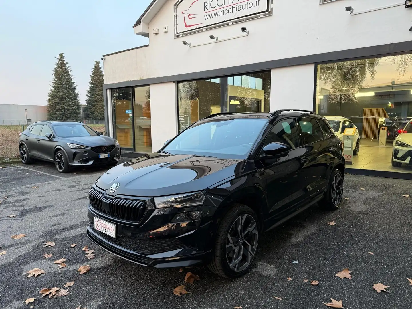 Skoda Karoq 2.0 tdi Sportline 4x4 150cv dsg Noir - 2