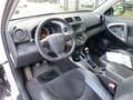 Toyota RAV 4 2.0 VVTI Executive Bns 4WD Ecc Navi Camera Trekhaa Blanco - thumbnail 11