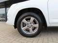 Toyota RAV 4 2.0 VVTI Executive Bns 4WD Ecc Navi Camera Trekhaa Blanco - thumbnail 34