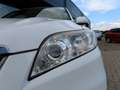 Toyota RAV 4 2.0 VVTI Executive Bns 4WD Ecc Navi Camera Trekhaa Blanco - thumbnail 35