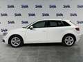 Audi A3 30 1.6 Tdi 116CV S-tronic Business Weiß - thumbnail 3