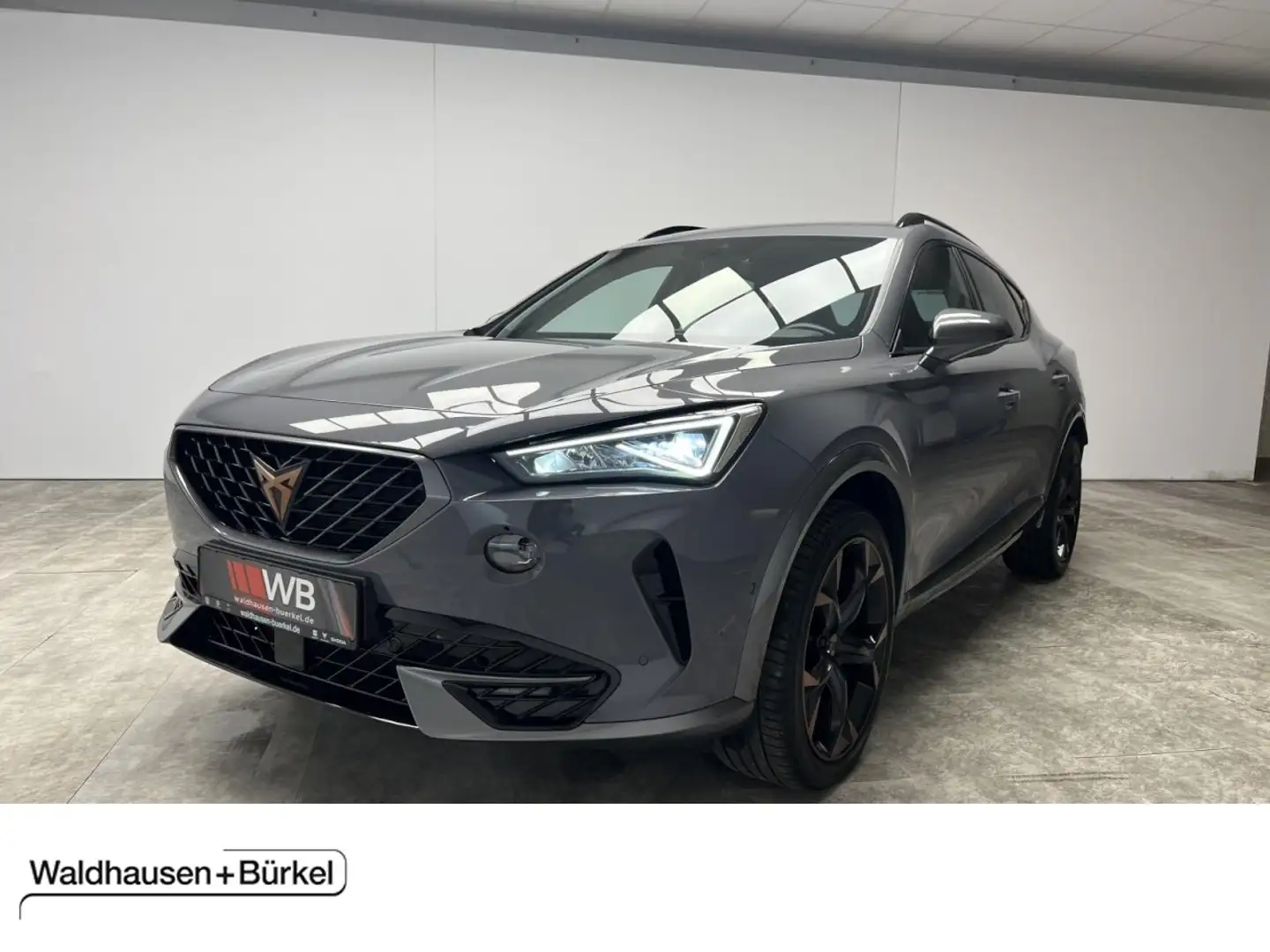 CUPRA Formentor VZ 2.0 TSI DSG 4Drive Panorama Klima Navi Grau - 1