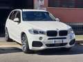 BMW X5 xDrive30d 249CV Msport Bianco - thumbnail 1