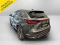 Lexus NX 350h 350h 2.5 luxury 4wd e-cvt Grigio - thumbnail 7
