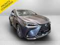 Lexus NX 350h 350h 2.5 luxury 4wd e-cvt Grigio - thumbnail 3