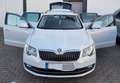 Skoda Superb Combi 2.0 TDI Green tec Ambition Weiß - thumbnail 4