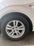 Chevrolet Aveo 1.2 LT 86cv 5p Bílá - thumbnail 5