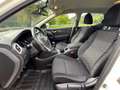 Nissan Qashqai Qashqai 1,6 dCi Acenta ALL-MODE 4x4i Acenta Weiß - thumbnail 12