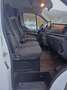 Ford Transit Custom Kasten 320 L2H2 Schrank*StandHZG* Blanc - thumbnail 11
