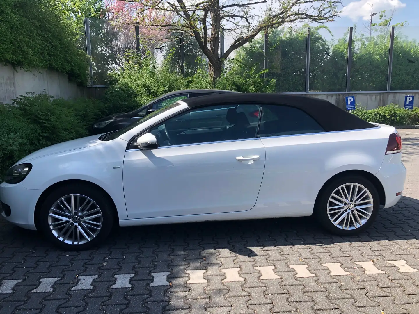 Volkswagen Golf Cabriolet 1,2 TSI Alb - 2