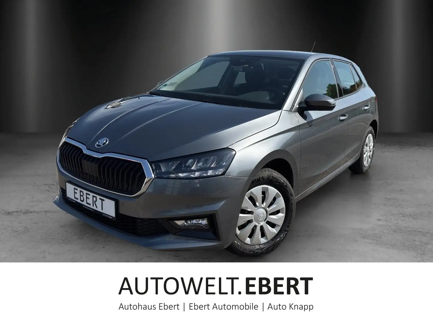 Skoda Fabia Selection 1,0 TSI 70 kW Grau - 1