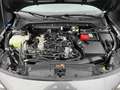 Ford Focus 1.0 ST-Line X Aut./LED/ACC/KAMERA/PANO/SHZ Gris - thumbnail 16