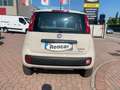 Fiat Panda Panda III 2012 0.9 t.air t. natural power Easy E5+ Beige - thumbnail 6