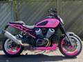 Harley-Davidson Pan America Mauve - thumbnail 3