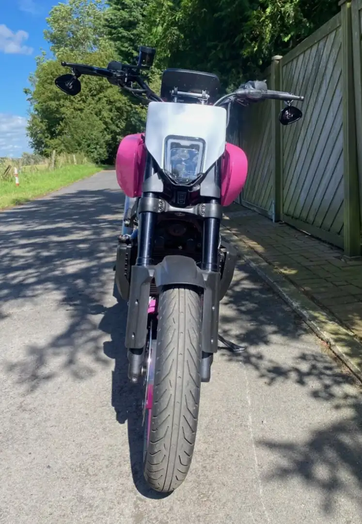 Harley-Davidson Pan America Mauve - 1