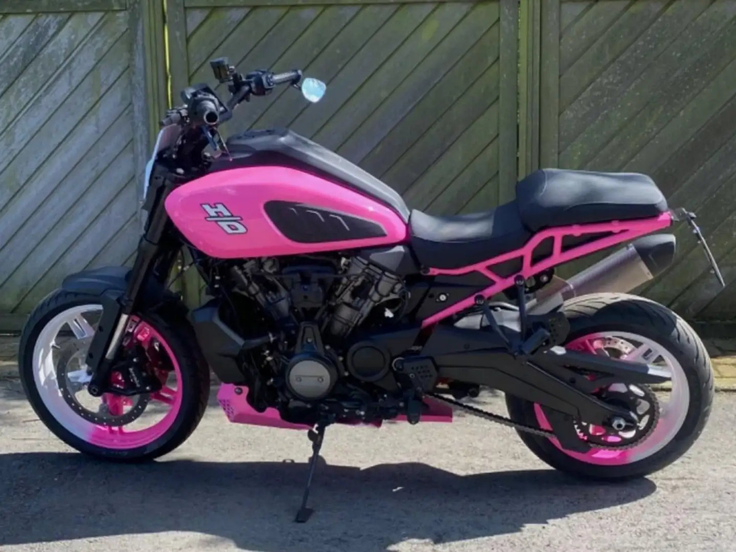 Harley-Davidson Pan America Mauve - 2