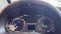 Casalini Sonstige M20 550 GRANSPO Gelb - thumbnail 9