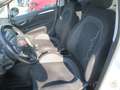 Fiat Punto Punto III  5p 1.3 mjt II 16v Lounge 75cv E5 Blanco - thumbnail 5