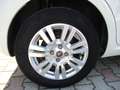 Fiat Punto Punto III  5p 1.3 mjt II 16v Lounge 75cv E5 Blanco - thumbnail 14