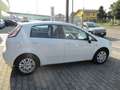 Fiat Punto Punto III  5p 1.3 mjt II 16v Lounge 75cv E5 Blanco - thumbnail 4