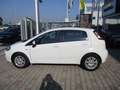 Fiat Punto Punto III  5p 1.3 mjt II 16v Lounge 75cv E5 Blanco - thumbnail 2