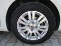 Fiat Punto Punto III  5p 1.3 mjt II 16v Lounge 75cv E5 Blanco - thumbnail 13