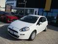 Fiat Punto Punto III  5p 1.3 mjt II 16v Lounge 75cv E5 Blanco - thumbnail 1