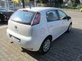 Fiat Punto Punto III  5p 1.3 mjt II 16v Lounge 75cv E5 Blanco - thumbnail 3