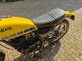 Yamaha SR 500 Kenny Roberts 60th Anniversary Amarillo - thumbnail 10