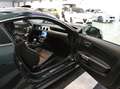 Ford Mustang Fastback 5.0 V8 TiVCT GT Bullitt Ufficiale Italia Green - thumbnail 3