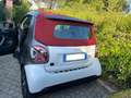 smart forTwo Fortwo Cabrio eq Passion 4,6kW Bianco - thumbnail 5
