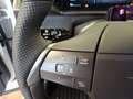 Opel Grandland 1.2 48V W GS ACC+Navi+SHZ+2xKlima+360 Weiß - thumbnail 19