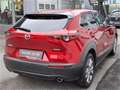 Mazda CX-30 G122 Comfort+/ST Rot - thumbnail 7