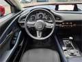 Mazda CX-30 G122 Comfort+/ST Rot - thumbnail 10