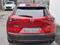 Mazda CX-30 G122 Comfort+/ST Rot - thumbnail 6