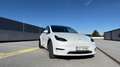 Tesla Model Y Performance I Leasingübernahme Weiß - thumbnail 4