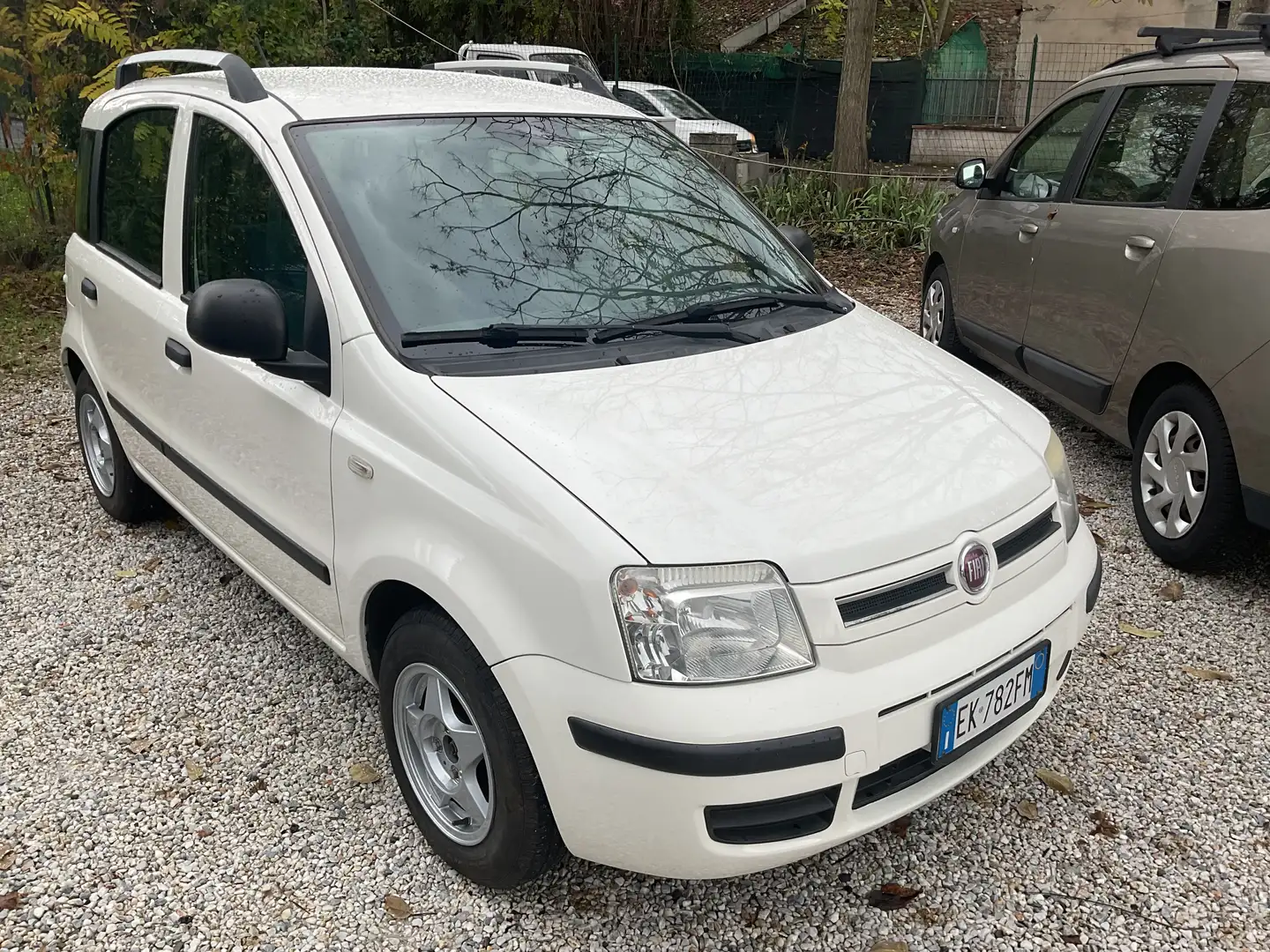 Fiat Panda 1.2 Dynamic Gpl - 1