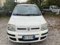 Fiat Panda 1.2 Dynamic Gpl - thumbnail 2
