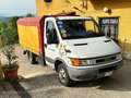 Iveco Daily 35C13A COMEAR Weiß - thumbnail 2