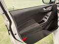 Ford Fiesta 1.0 EcoBoost MHEV 92kW(125CV) Active 5p Blanc - thumbnail 8