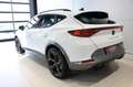 CUPRA Formentor VZ 2.0 TSI DSG 4Drive 4JGAR/AHK/PANO/elHK Klima Weiß - thumbnail 2