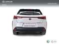 Lexus UX 250h 2.0 Premium Blanco - thumbnail 4
