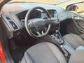Ford Focus 1.5 EcoBoost 150 CV S&S Titanium X Rosso - thumbnail 8