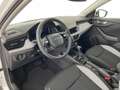 Skoda Scala Selection TSI DSG Weiß - thumbnail 8