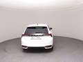 Skoda Scala Selection TSI DSG Weiß - thumbnail 6
