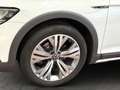 Volkswagen Passat Alltrack 2.0 TDI DSG 4M NAVI+ACC+KAMERA Weiß - thumbnail 8